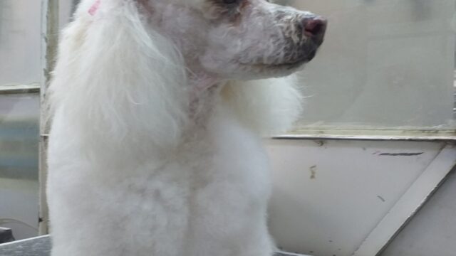 488652567_1217881000343755_2113664091061829212_n