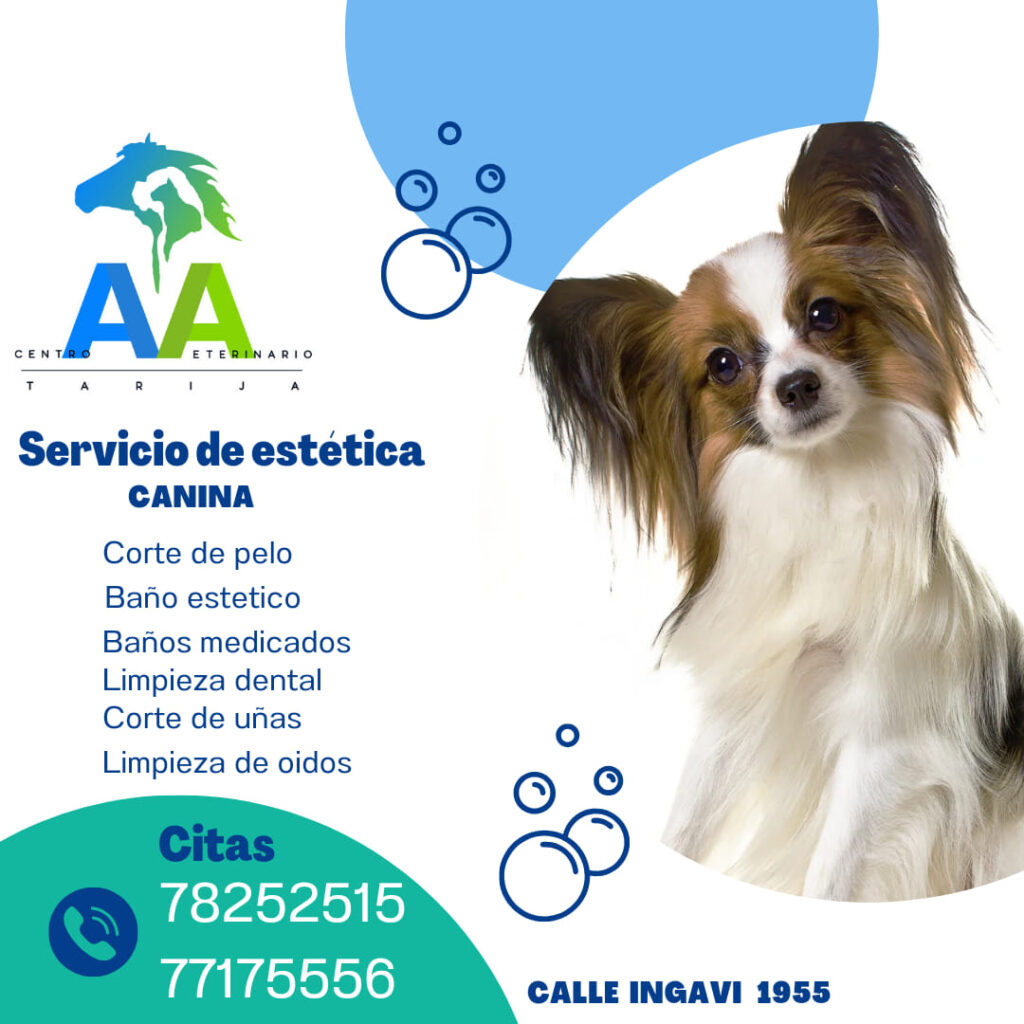 488827816_1285274473216071_6529338413554288203_n