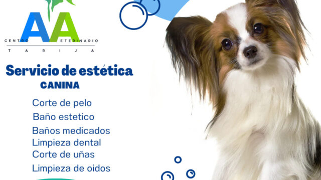 488827816_1285274473216071_6529338413554288203_n