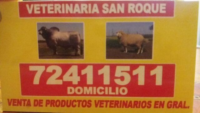 489328289_2220769115006699_1224600262535999333_n