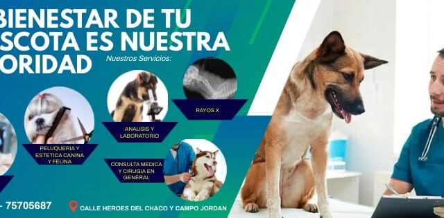 489965760_1205557168246307_1054476597699778138_n