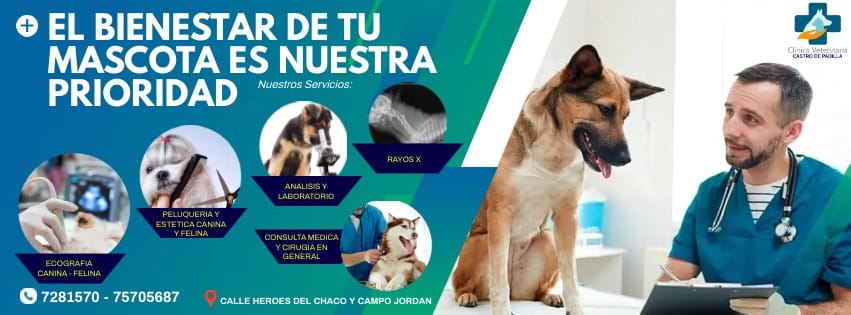 489965760_1205557168246307_1054476597699778138_n