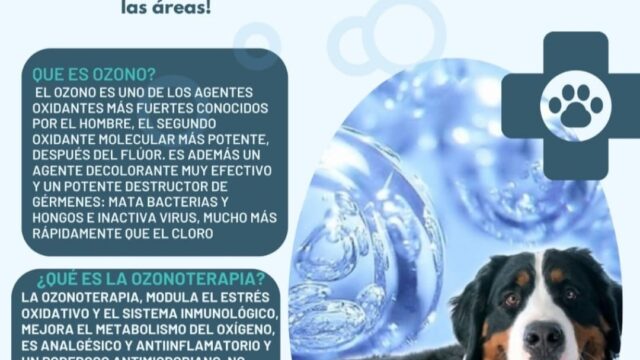 491388030_1220001413469612_8263823326144935178_n