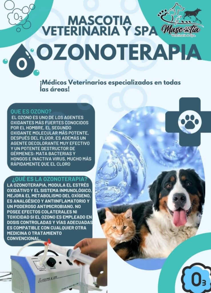 491388030_1220001413469612_8263823326144935178_n