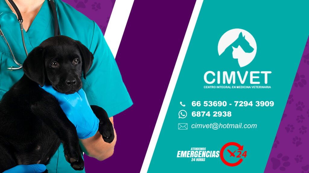 491405136_1225793599552501_4131588993879603072_n