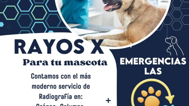 491786258_1221160473353706_3437431950648388275_n