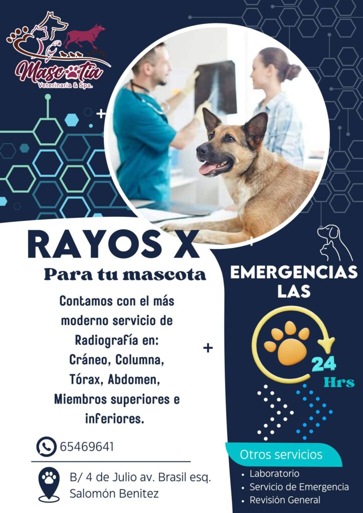 491786258_1221160473353706_3437431950648388275_n