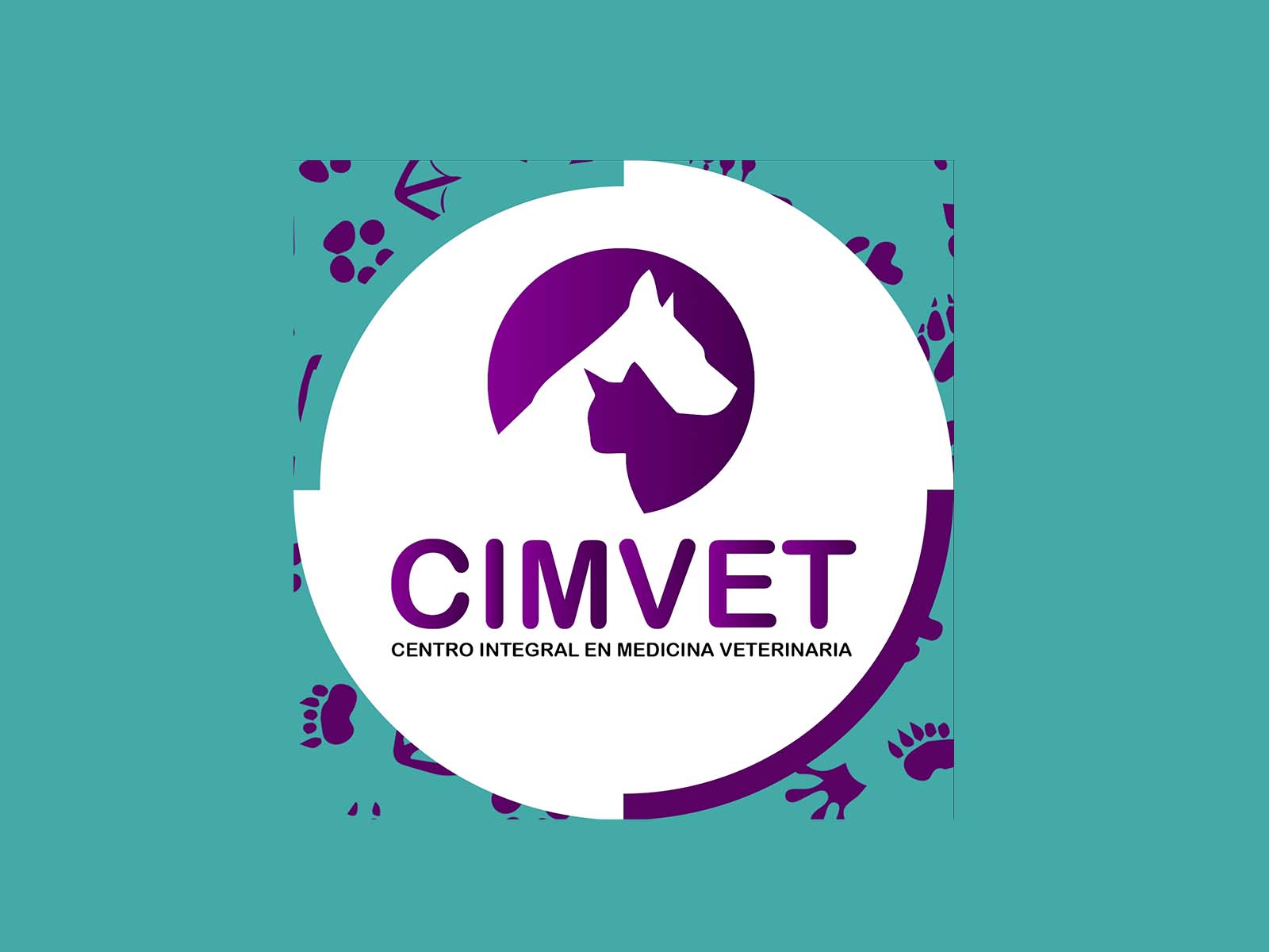 491814851_1225793409552520_8760078306952225217_n