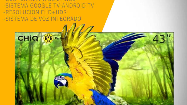 491850571_1269508688512065_8251399190444695771_n