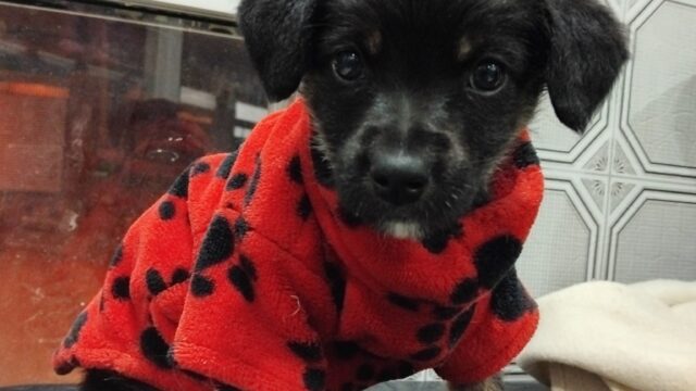 491913609_122237283710024188_413102243974371185_n