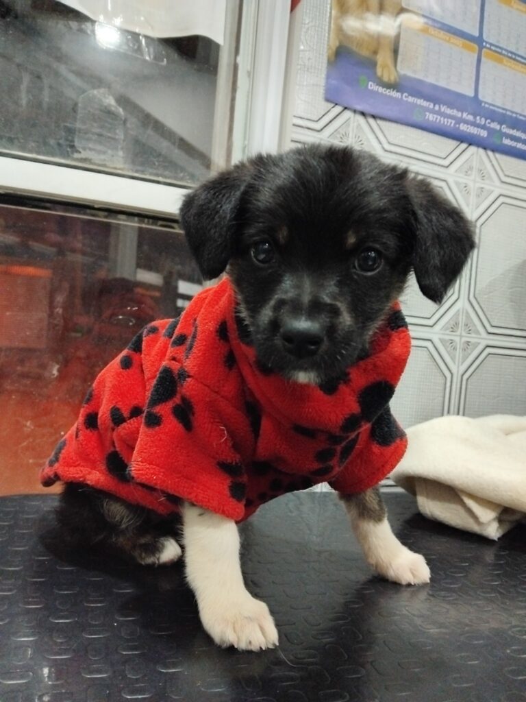 491913609_122237283710024188_413102243974371185_n