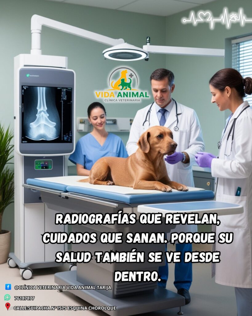 491989517_1109821177826599_5348862175585975580_n