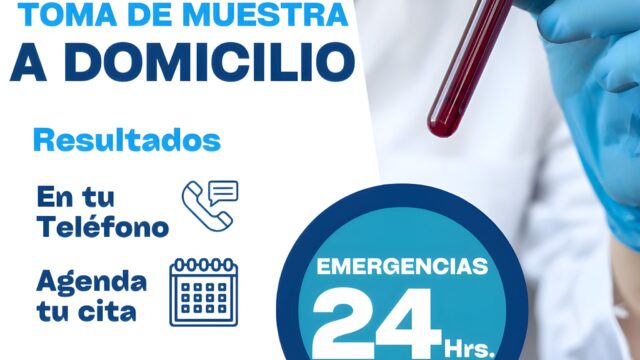 491996967_1202248935245146_6900666574896754454_n