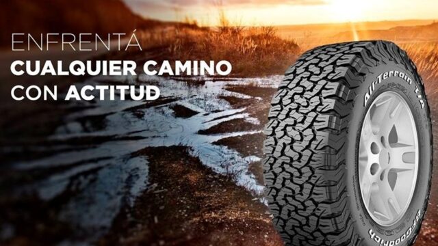 492004028_1226703316131199_6514964714845335565_n