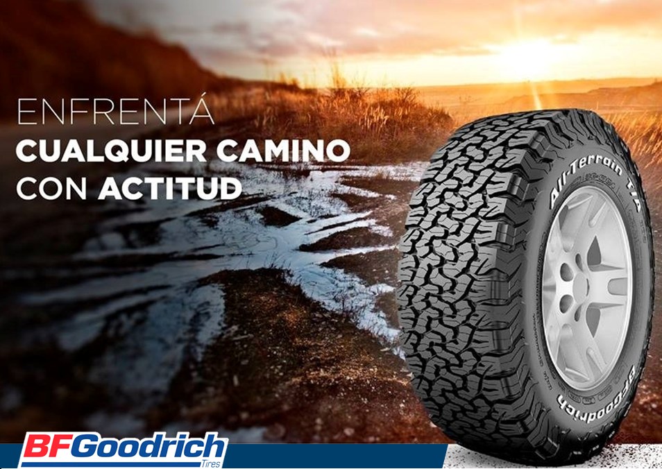 492004028_1226703316131199_6514964714845335565_n