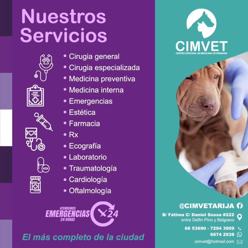 492929467_1231024832362711_1697695627456055229_n