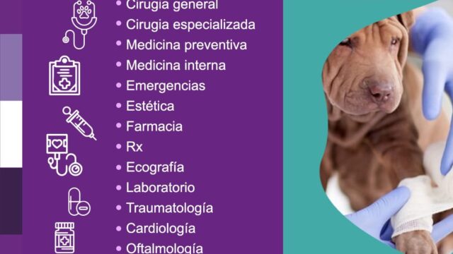 492929467_1231024832362711_1697695627456055229_n