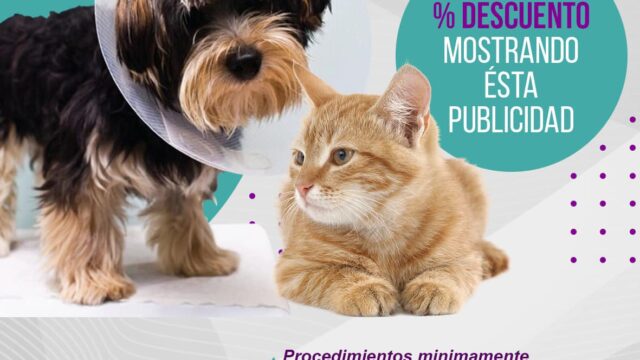 494991660_1238422231622971_4822859391097696325_n