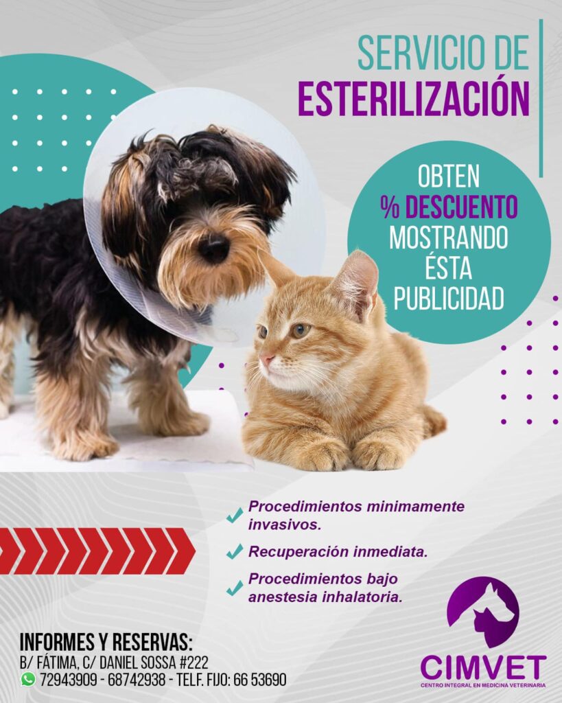 494991660_1238422231622971_4822859391097696325_n