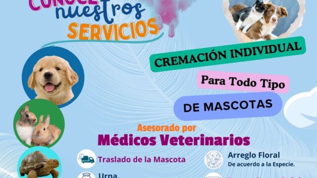 495377547_976819951331468_8994257554964818507_n