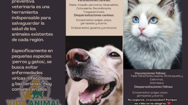 499348978_1135511475257569_2947334765348948898_n