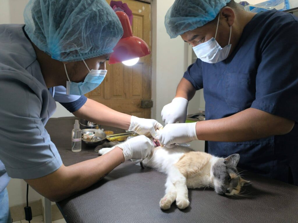 499518348_664900156422689_5215862981673930104_n