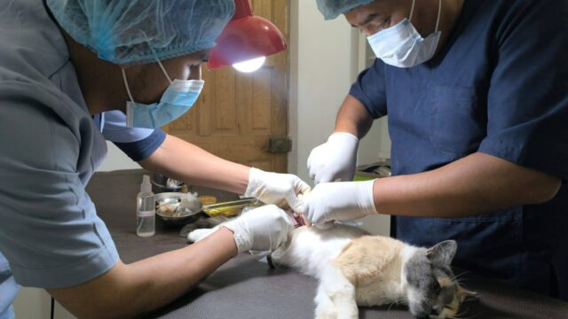 499518348_664900156422689_5215862981673930104_n