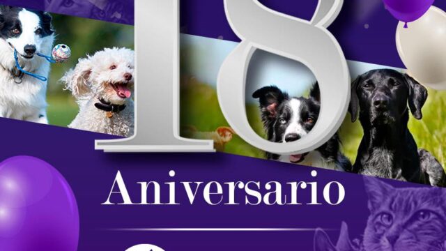 503902406_1267903185341542_8913720845901070291_n