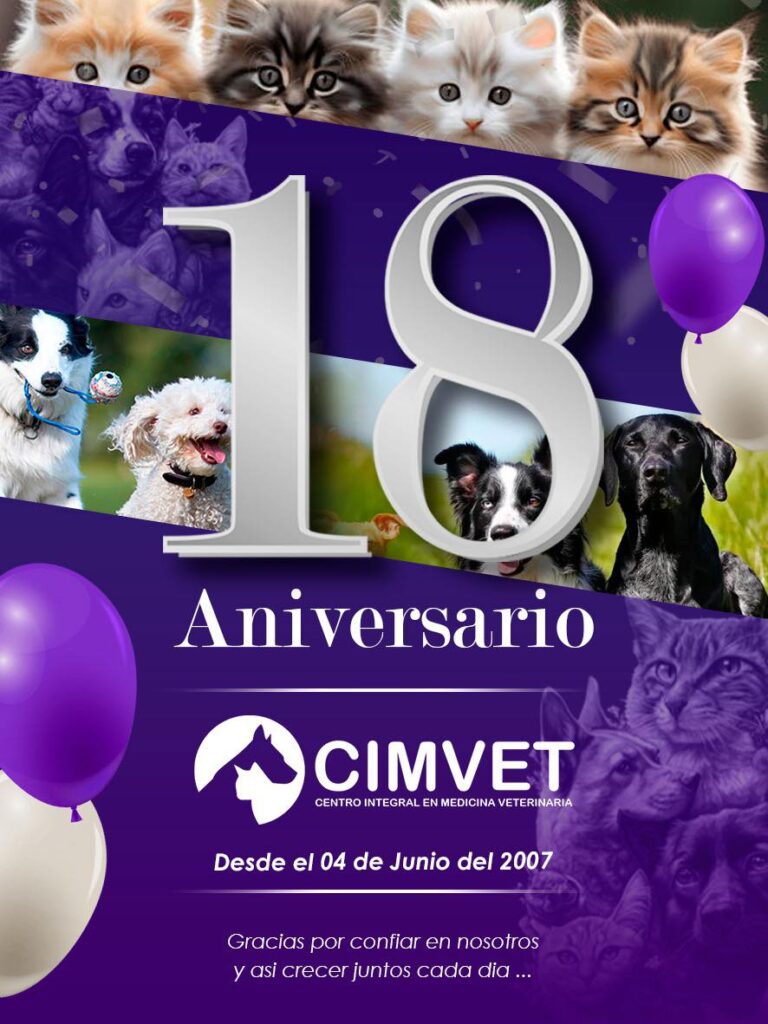 503902406_1267903185341542_8913720845901070291_n