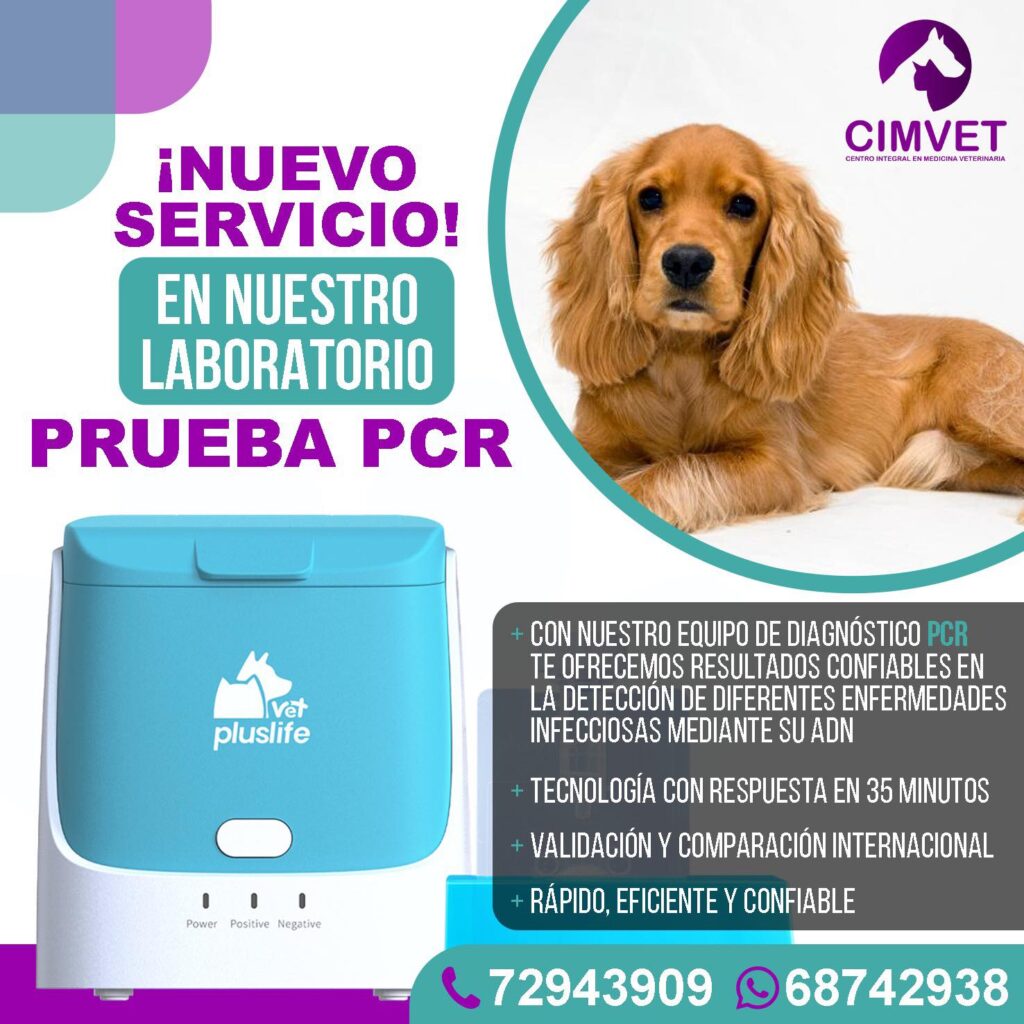 503992033_1269139091884618_452964011575991729_n