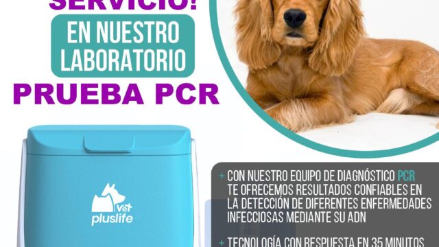 503992033_1269139091884618_452964011575991729_n