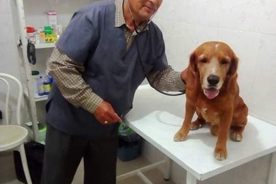 50505604_1997516010363781_6374738220483084288_n