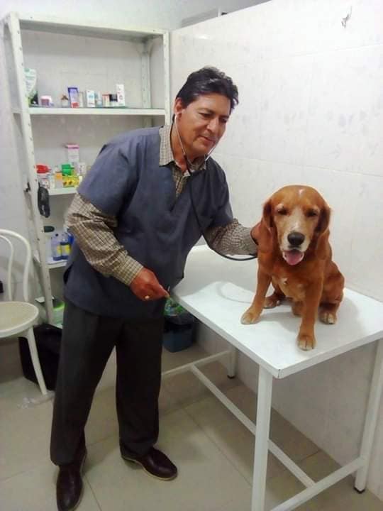 50505604_1997516010363781_6374738220483084288_n