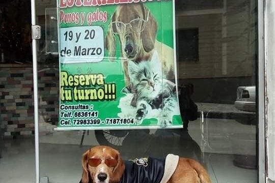 50556219_1997516110363771_6647429688425709568_n