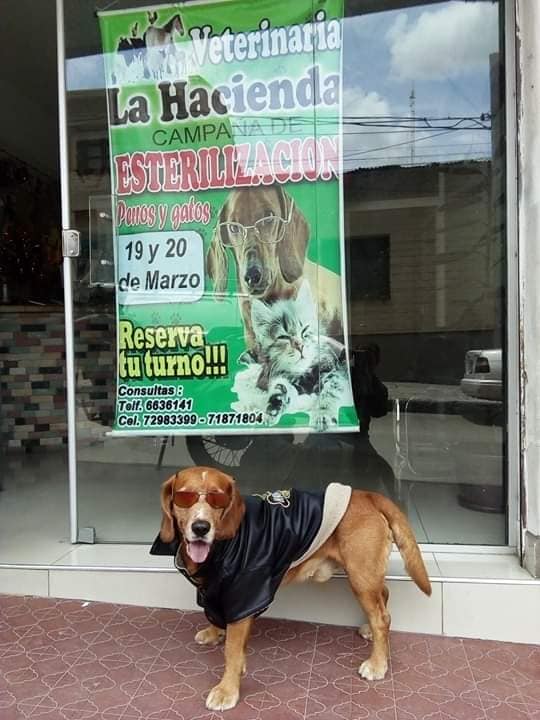 50556219_1997516110363771_6647429688425709568_n