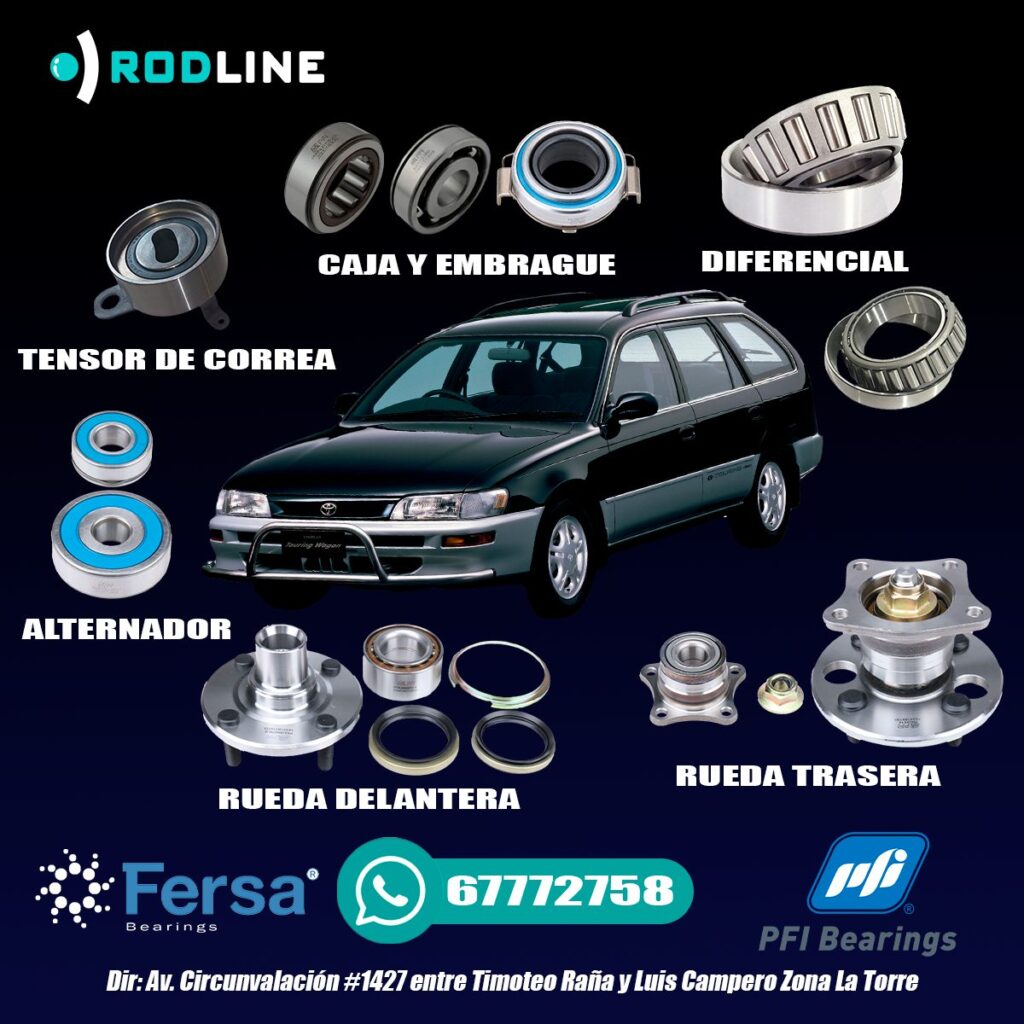 506333034_122237321306038743_2899983609353114443_n