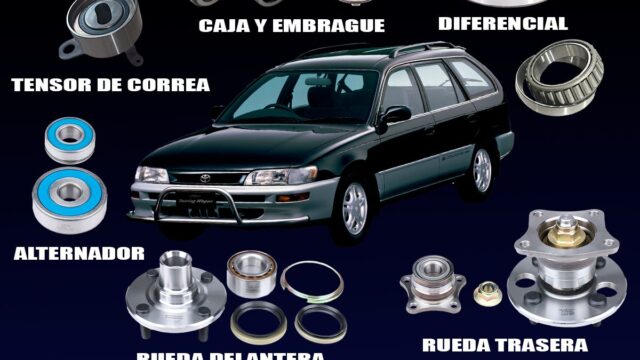 506333034_122237321306038743_2899983609353114443_n