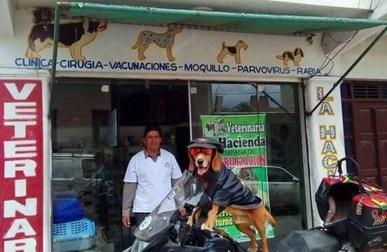 50693456_1997515950363787_878102966995779584_n