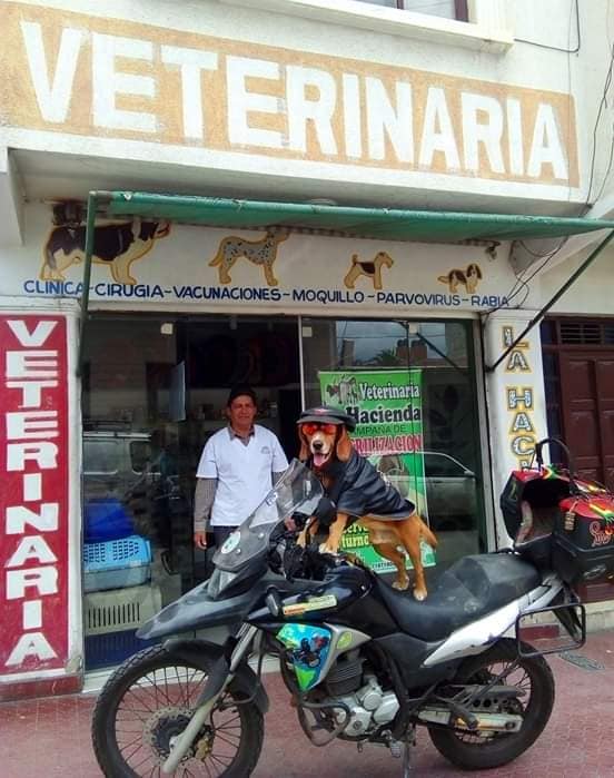 50693456_1997515950363787_878102966995779584_n