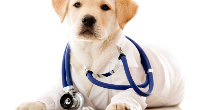 506942053_10010629425719026_5393406102048514343_n