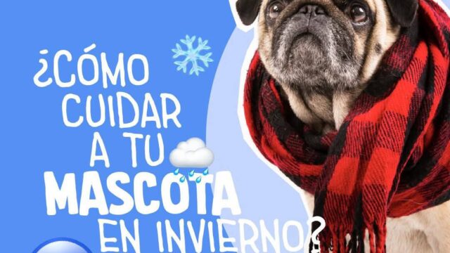 509441583_709045035215496_275889694674602615_n