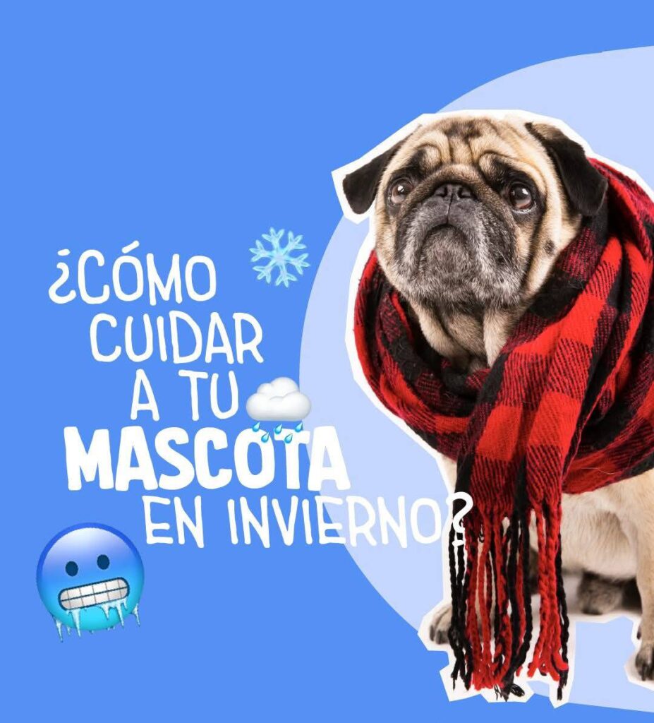 509441583_709045035215496_275889694674602615_n