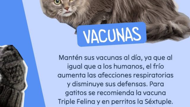 511200064_709045145215485_5098506645886024455_n