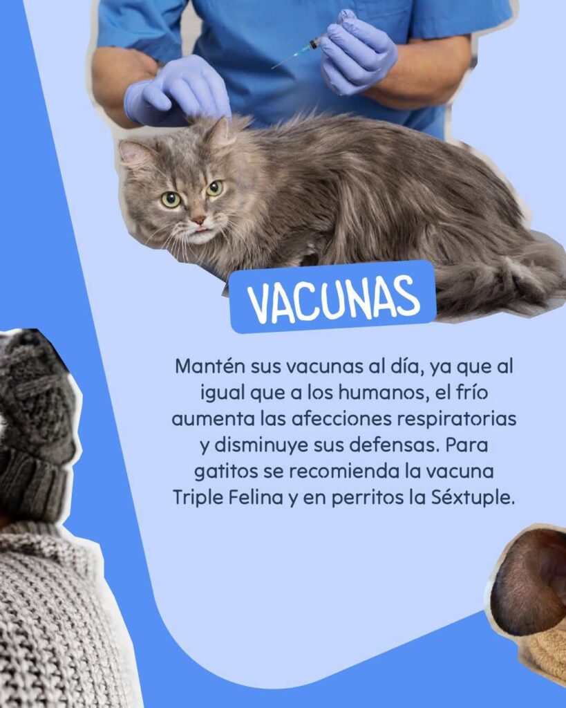 511200064_709045145215485_5098506645886024455_n