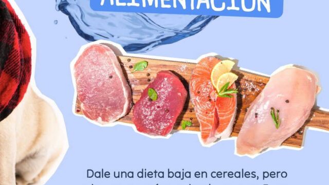 512662735_709045118548821_8055303305843310574_n