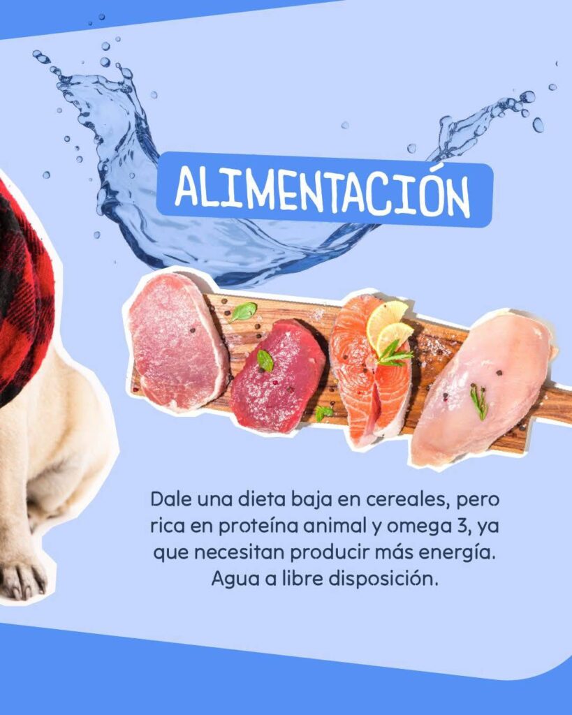 512662735_709045118548821_8055303305843310574_n