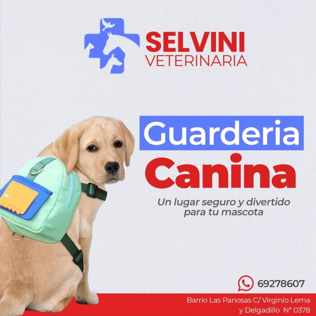 517028937_1144810241001723_7204046514803897340_n