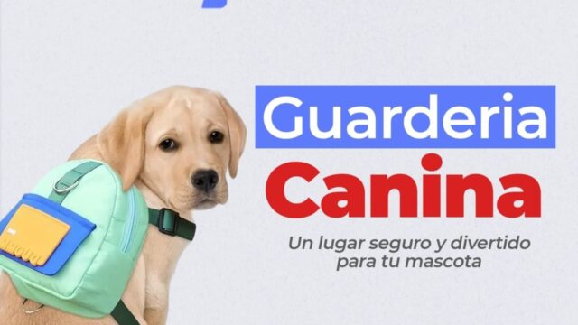 517028937_1144810241001723_7204046514803897340_n