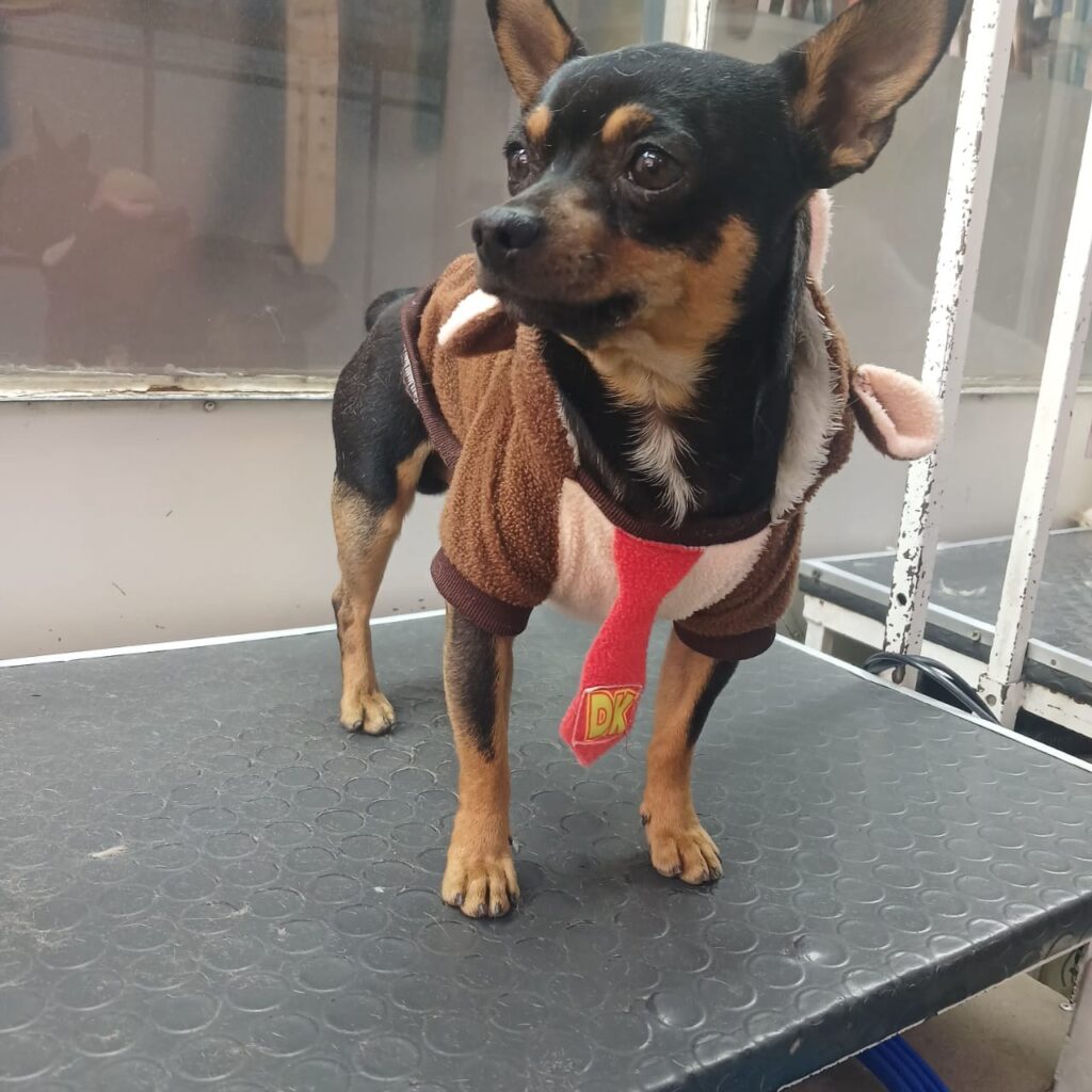 525975149_1321757676622753_3608023927856203717_n