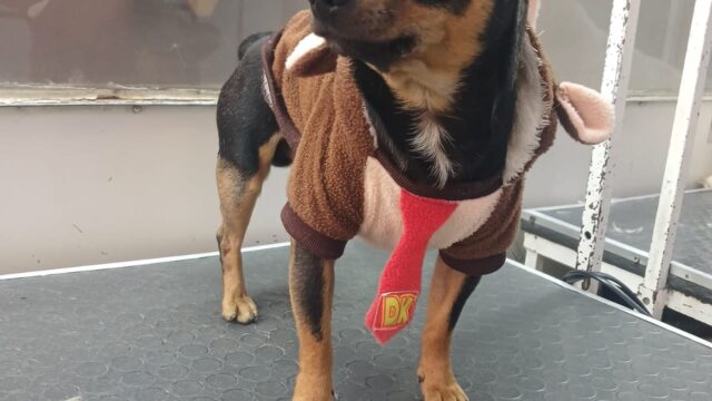 525975149_1321757676622753_3608023927856203717_n